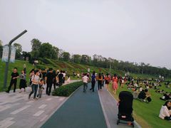 -华润深圳湾体育中心-“春茧” 体育馆
