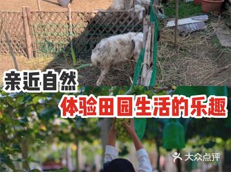 亲近自然，体验田园生活的乐趣！