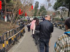 -都江堰中华大熊猫苑