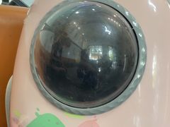 -半岛宠物医院24小时(科华中路店)