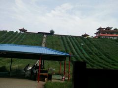 -南戴河国际娱乐中心