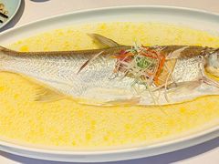 鸡汤清蒸白鱼-森隆饭庄(崇文门新世界百货店)