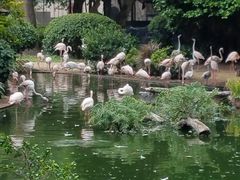 -九龙公园
