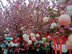 -祥源·阜阳生态乐园