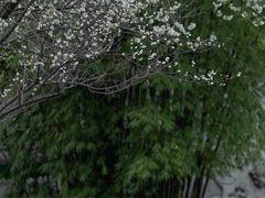 -成都市文化公园