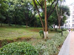 -天河儿童公园