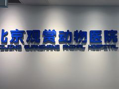 -北京观赏动物医院·24小时大型综合·猫专科·异宠专科