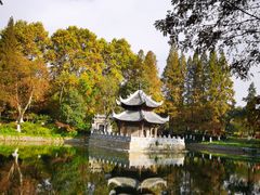 -习家池