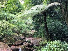 -赤水丹霞旅游区·佛光岩