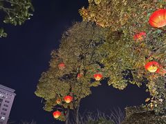 -回龙窝历史文化街区