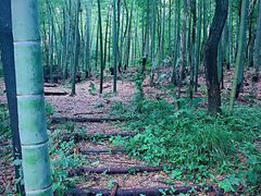 景点-杏花村文化旅游区