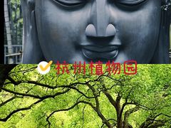 -杭州植物园
