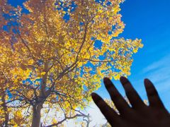 -苏州青少年科技馆