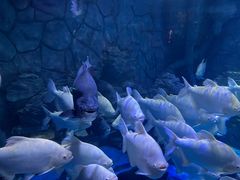 -多彩贵州城极地海洋世界