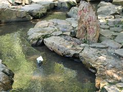 -兰亭风景区