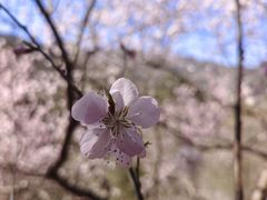 -香山公园