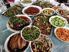 -铁山坪森林公园