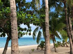 -The Sunny Side Cafe Station 1