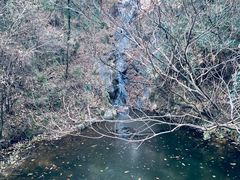 -宁波市保国寺古建筑博物馆