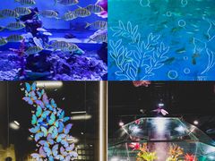 -上海大自然野生昆虫馆(东方明珠·爬宠昆虫探索中心)