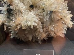 -烟台自然博物馆