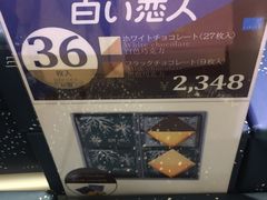 -关西国际机场直营免税店