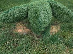 -云漫湖生态度假公园