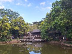 -深圳国际园林花卉博览园