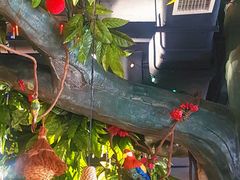 -草原塞蛮羊火锅城(港湾店)