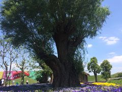 -南通洲际绿博园