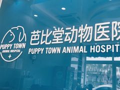 -芭比堂动物医院·CT·微创中心(新顺分院)
