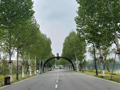 -洋湖国家湿地公园