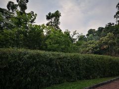 -火炉山森林公园