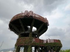-芒洲湿地公园