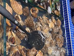 -丰卓会海鲜自助(中润大道店)