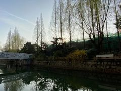 -兰溪青年公园