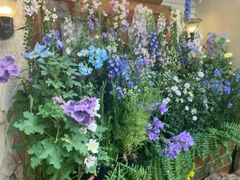 -Lamant Manor已闻花名关於蓝