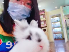 -宠物兔专门店(天丰利市场店)