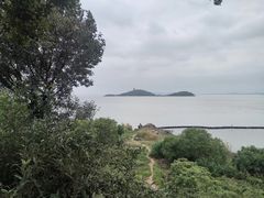 -上海市保健医疗中心