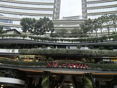 -正佳雨林生态植物园