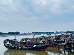 -大湾区中央湿地公园-十九涌