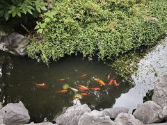-南京市民俗博物馆(甘熙故居)