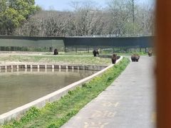 -上海野生动物园