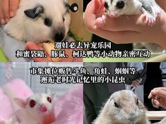 -瑞虹新天地月亮湾