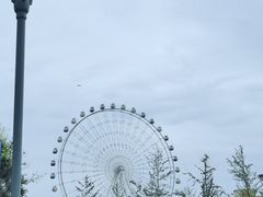 -琴岛之星摩天轮