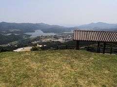 -大姆山草场