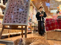 -猫的天空之城概念书店(大学路店)