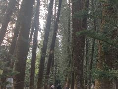 -金山植物公园