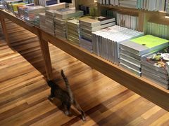 -猫的天空之城概念书店(杭州南宋御街店)