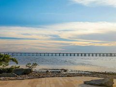 -宝安西湾红树林湿地公园